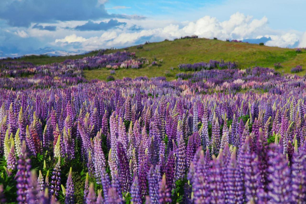 Peppers Bluewater Resort Lake Tekapo Eksteriør bilde