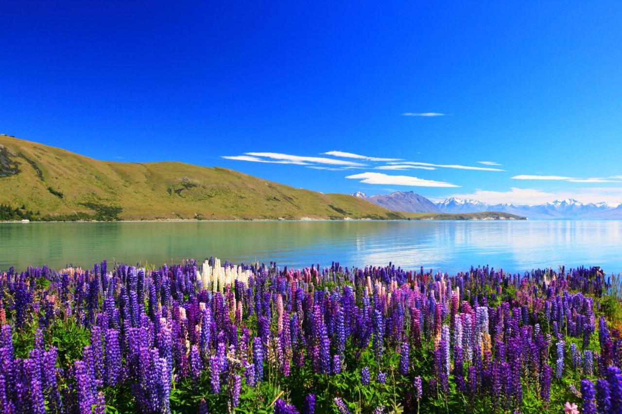 Peppers Bluewater Resort Lake Tekapo Eksteriør bilde